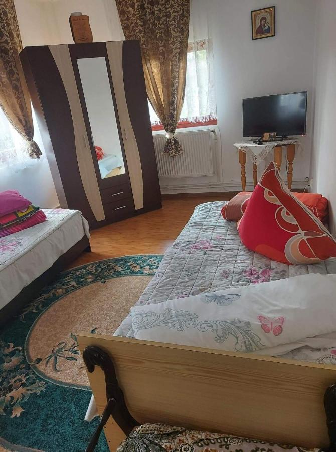 شقة Casa Rodica فاترا دورني المظهر الخارجي الصورة
