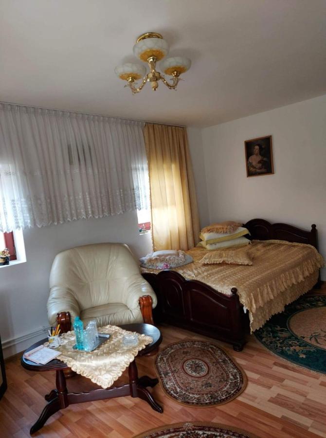 شقة Casa Rodica فاترا دورني المظهر الخارجي الصورة
