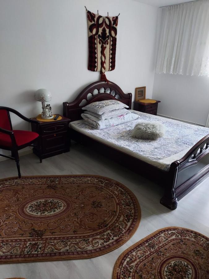 شقة Casa Rodica فاترا دورني المظهر الخارجي الصورة